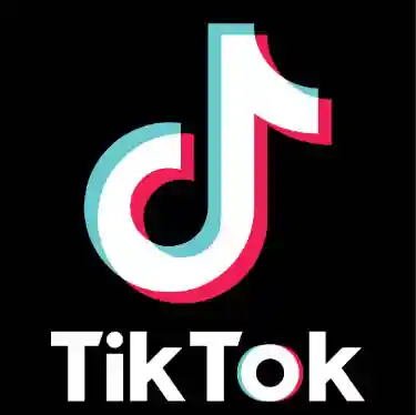 TikTok Logo